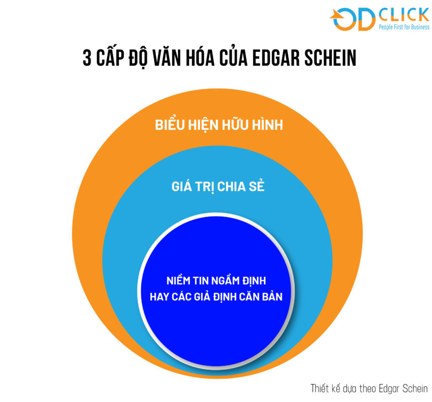 3 CẤP ĐỘ CỦA MÔ HÌNH VĂN HÓA TỔ CHỨC EDGAR SCHEIN - Công ty TNHH Tư vấn Quản lý OD Click