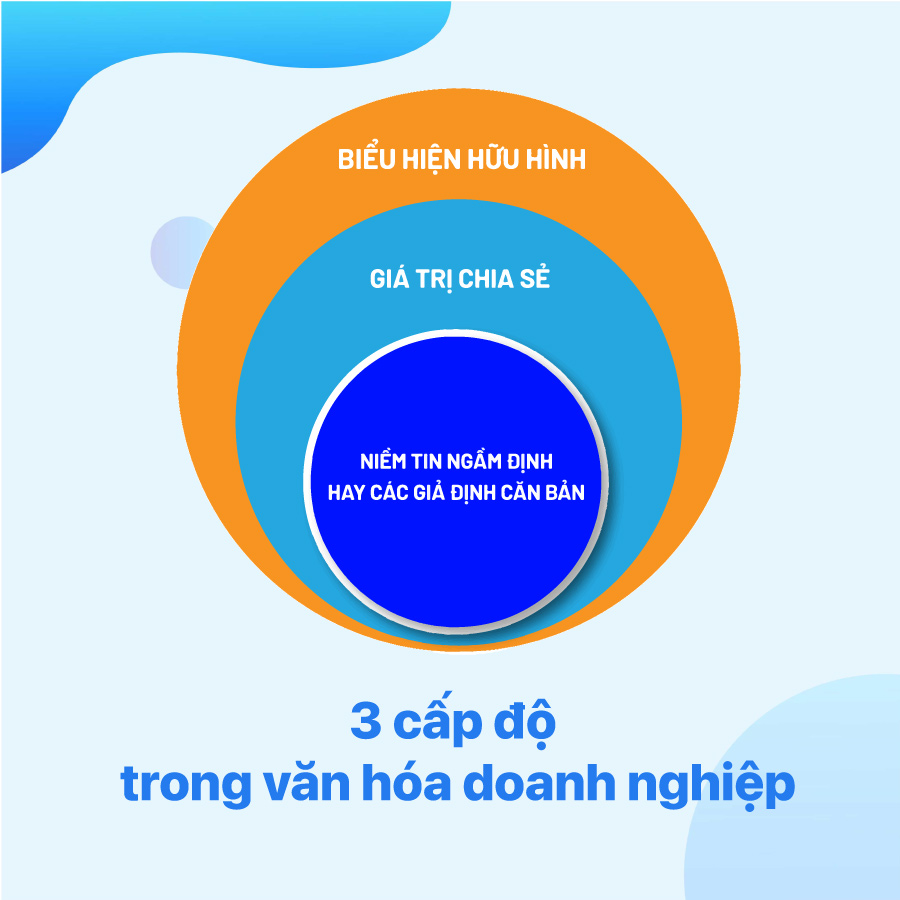 3 cấp độ chính trong văn hóa doanh nghiệp