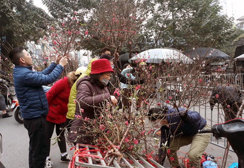 Người ti&ecirc;u d&ugrave;ng mua hoa Đ&agrave;o tại chợ hoa tr&ecirc;n phố Ho&agrave;ng Hoa Th&aacute;m ng&agrave;y 29 Tết. Ảnh: Ho&agrave;i Nam