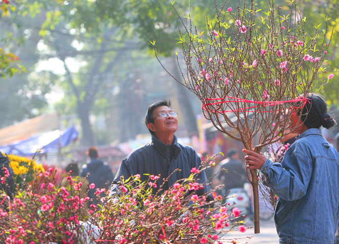 Chợ hoa Hàng Lược – nét văn hoá Tết đặc sắc của người Hà Nội