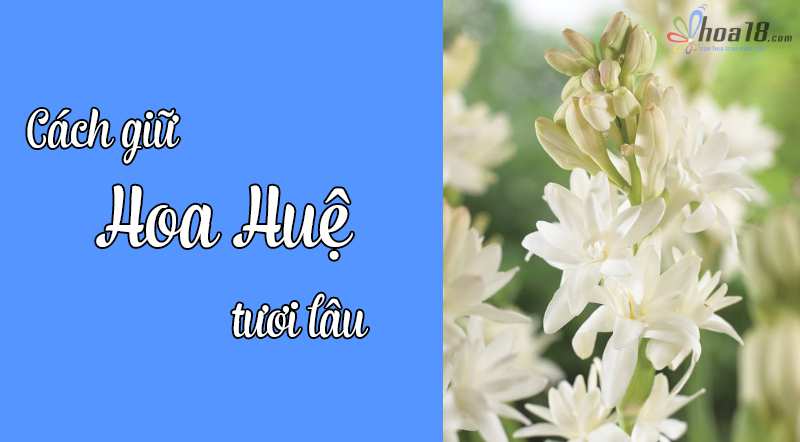 Bình hoa tươi - Cách giữ hoa huệ tươi lâu - HOA18