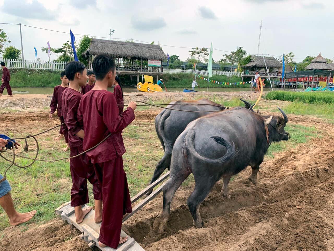 Khu Du Lịch Văn hóa Phương Nam8