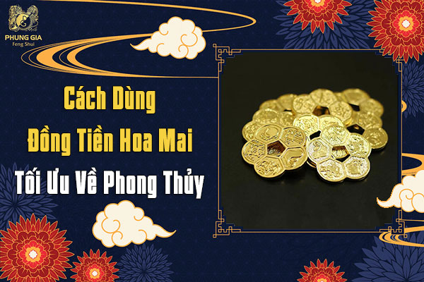 Đồng Tiền Hoa Mai Phong Thủy