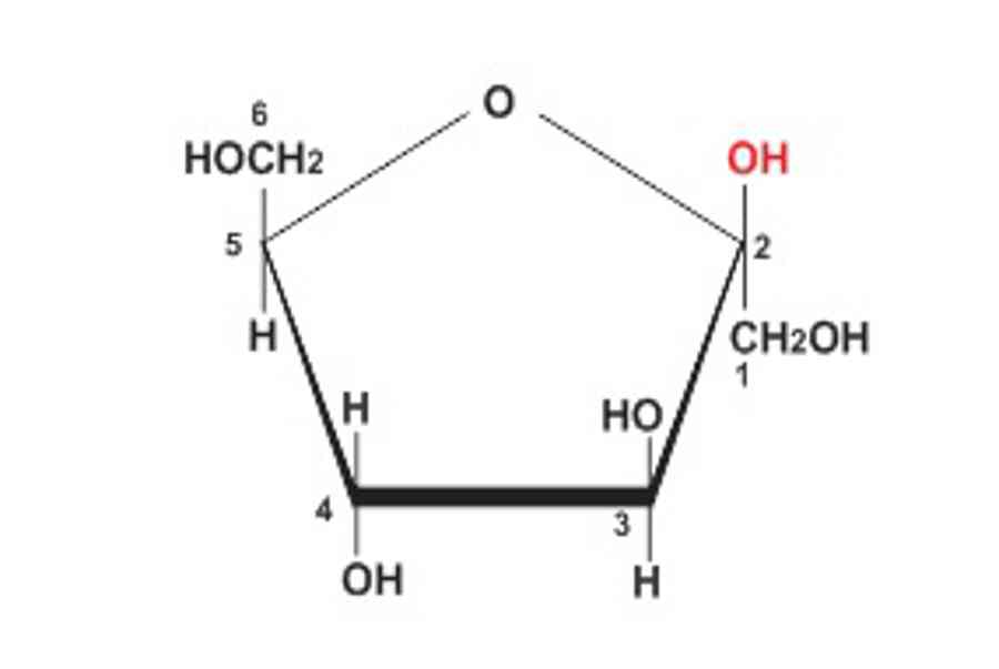 CẤU TẠO, TÍNH CHẤT, ỨNG DỤNG CỦA GLUCOZƠ VÀ FRUCTOZƠ - Kiến Thức Cho Người lao Động Việt Nam