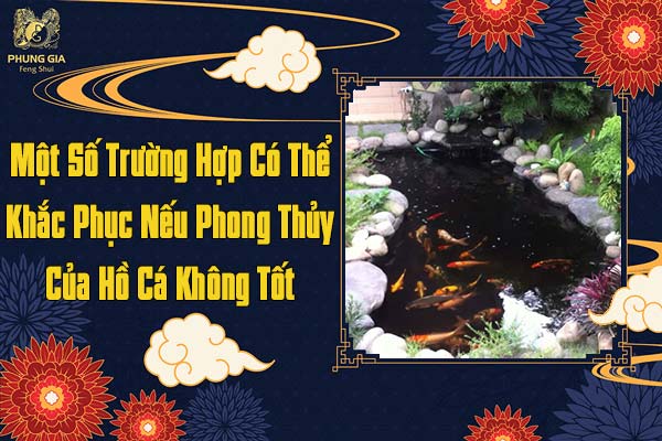 Một Số Trường Hợp Có Thể Khắc Phục Nếu Phong Thủy Của Hồ Cá Không Tốt