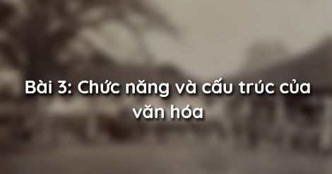 Bài 3: Chức năng và cấu trúc của văn hóa