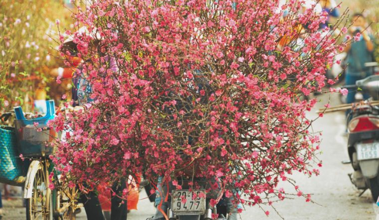 6 chợ hoa Tết nổi tiếng ở Hà Nội dịp Tết âm 2022