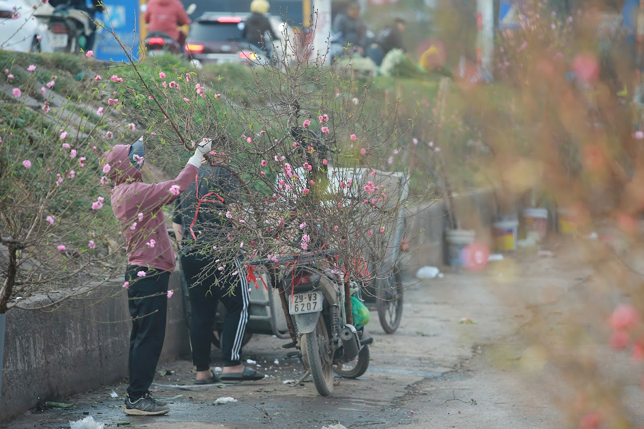 Hà Nội sẽ có 91 điểm chợ hoa xuân phục vụ Tết Nguyên đán 2023 - Ảnh 2.