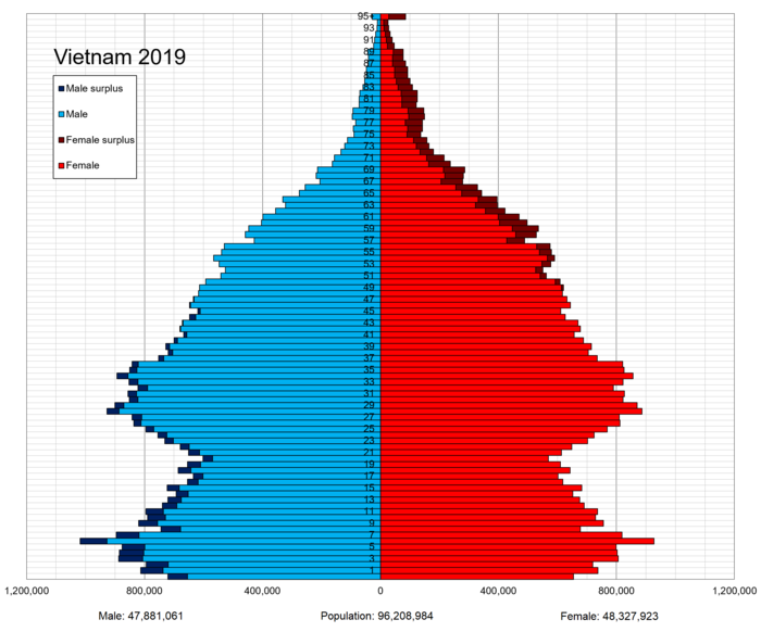 Tháp dân số Việt Nam 2019