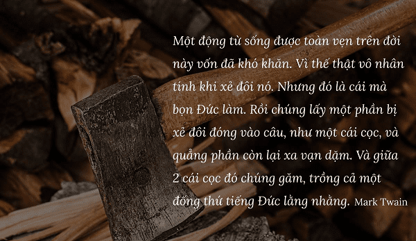 Tiếng Đức có thực sự khó? - CMMB Việt Nam