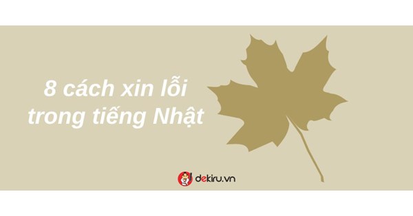 8 cách xin lỗi trong tiếng Nhật phù hợp với từng tình huống giao tiếp