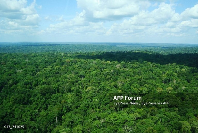 Khu vực rừng Amazon ở Brazil. Ảnh: AFP