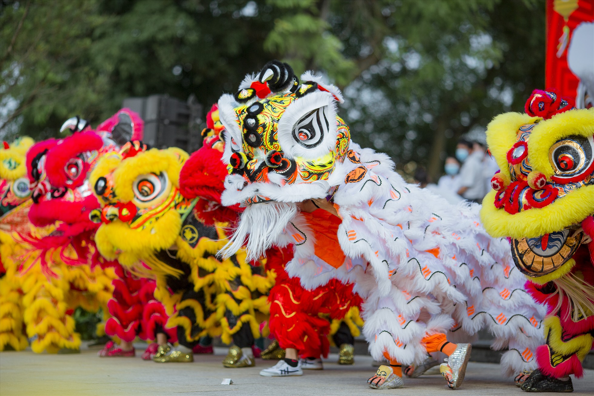 Hội múa Lân dịp Tết Trung thu.