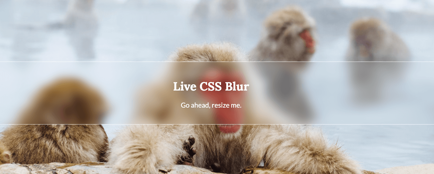 CSS Blur