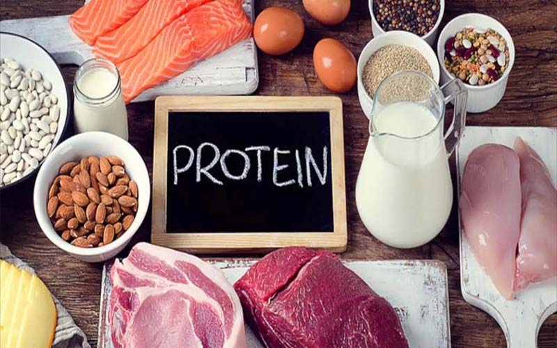 Protein là gì? Chức năng của protein đối với sức khỏe con người