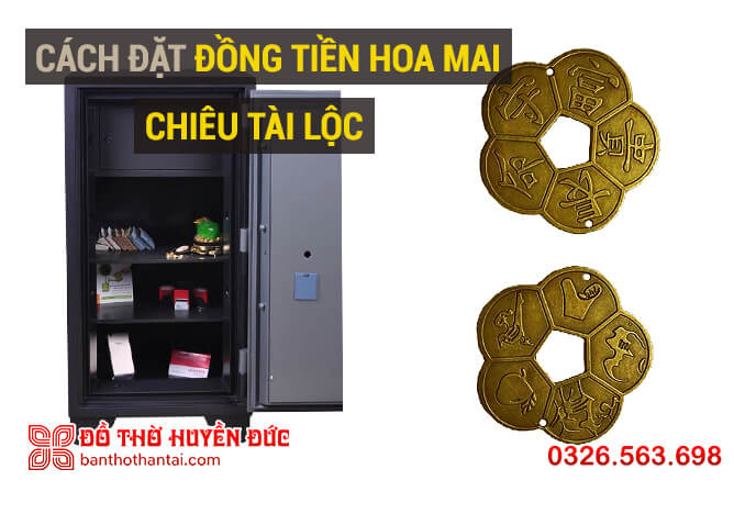 Cách đặt hoa mai kim tiền chiêu tài lộc