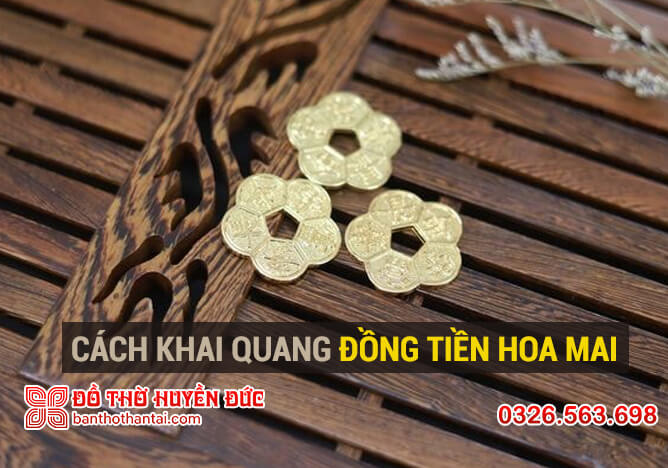 Cách khai quang hoa mai kim tiền 