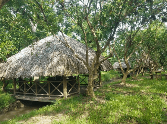 Vườn sinh thái Xẻo Nhum (Ảnh ST)