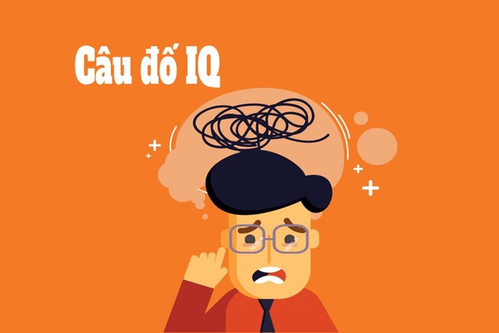 Thử thách IQ với 5 câu đố khó nhằn | Tin tức mới nhất 24h