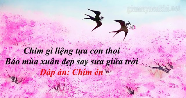 câu đố về tết và mùa xuân