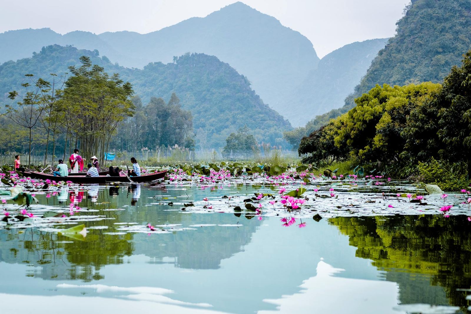 chua huong thuoc tinh nao