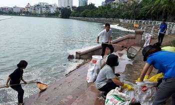 Dân vớt hàng tạ cá chết ở Hồ Tây về ủ làm phân bón
