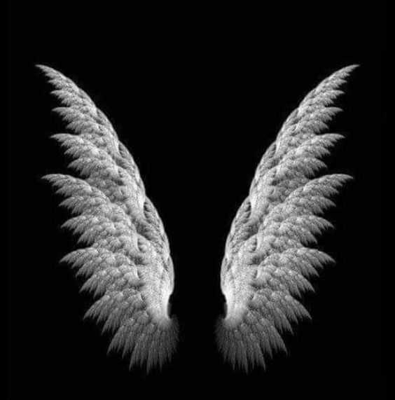 Hình nền trắng đen buồn về đôi cánh trắng thiên thần nền đen