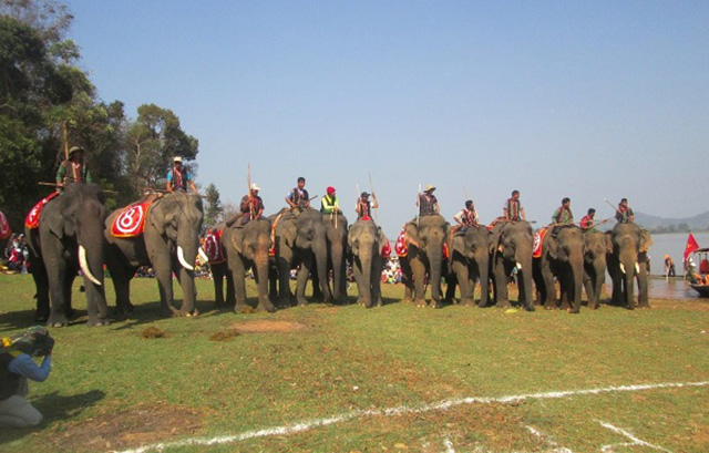 Lễ hội đua voi
