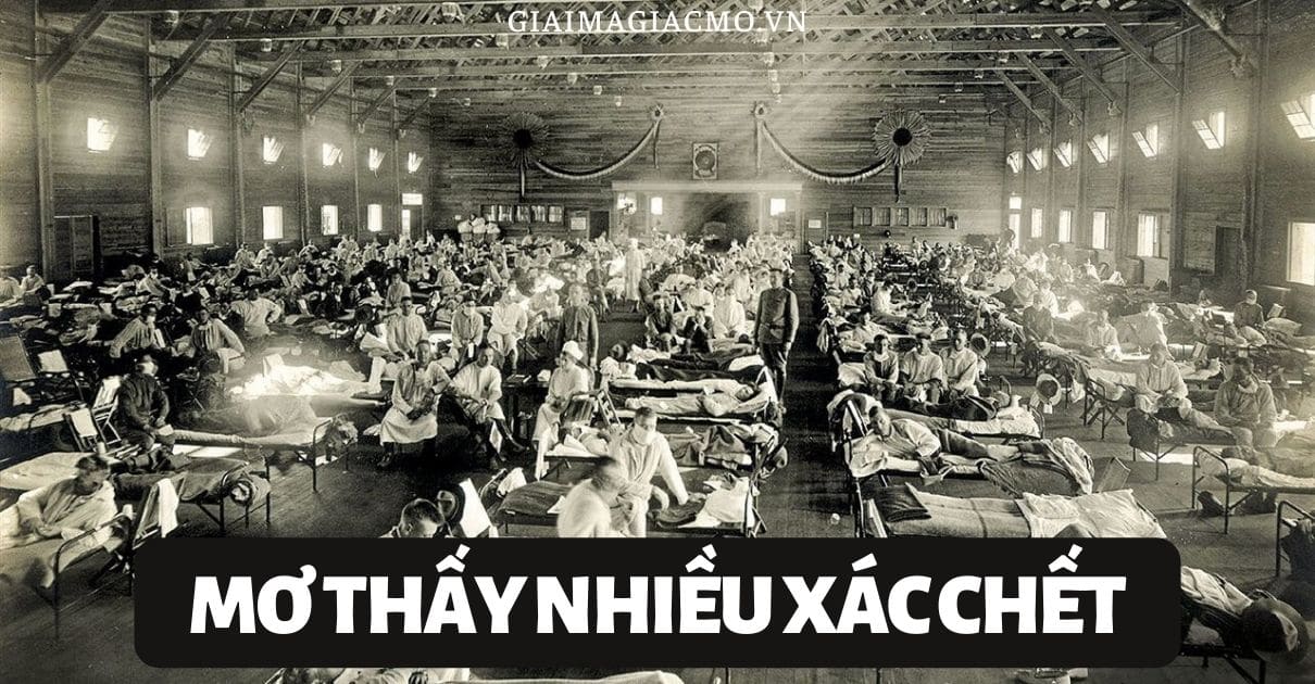 Mơ Thấy Nhiều Xác Chết