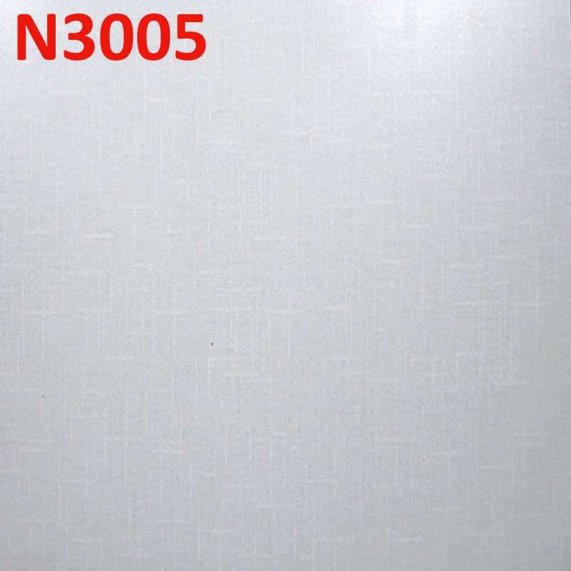 N3005