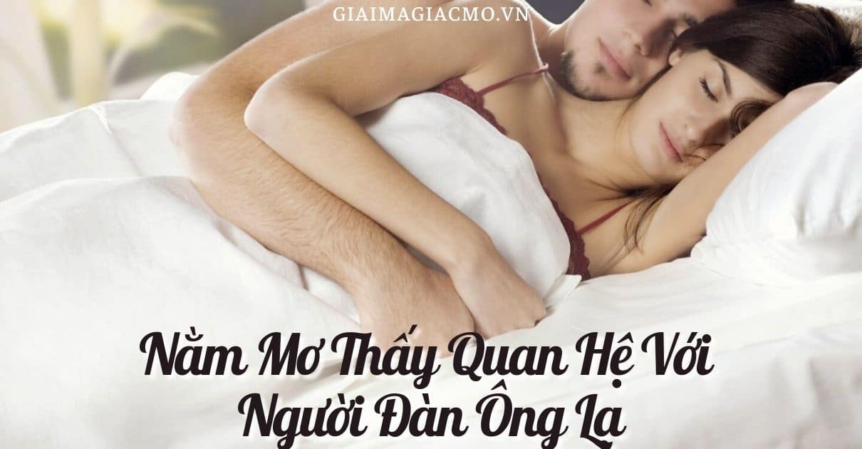 Mộng Tinh Đánh Con Gì