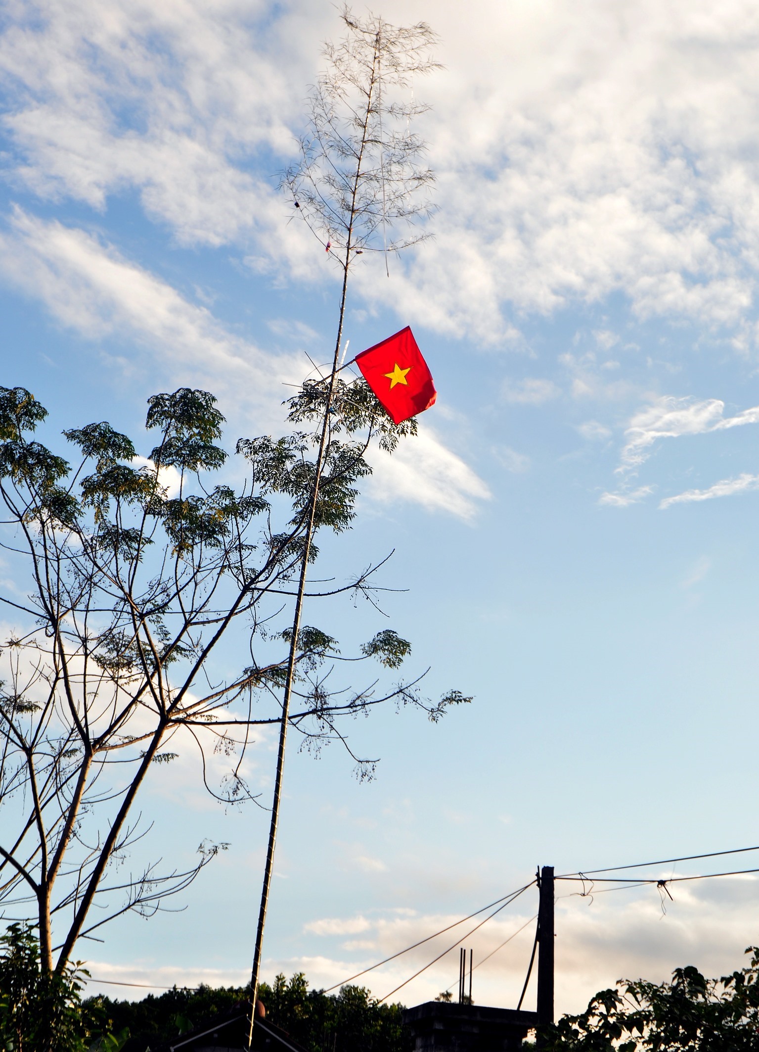 Một cây nêu đã trang trí hoàn chỉnh được dựng lên tại huyện Hương Sơn (Hà Tĩnh). Ảnh: Minh Lý