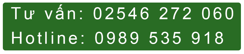 Tư vấn 02546 272 060