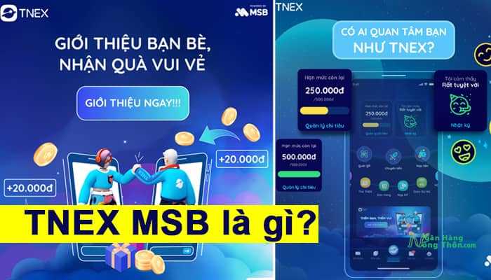 TNEX MSB là gì? Tnex có an toàn, lừa đảo đăng ký tài khoản msb qua App