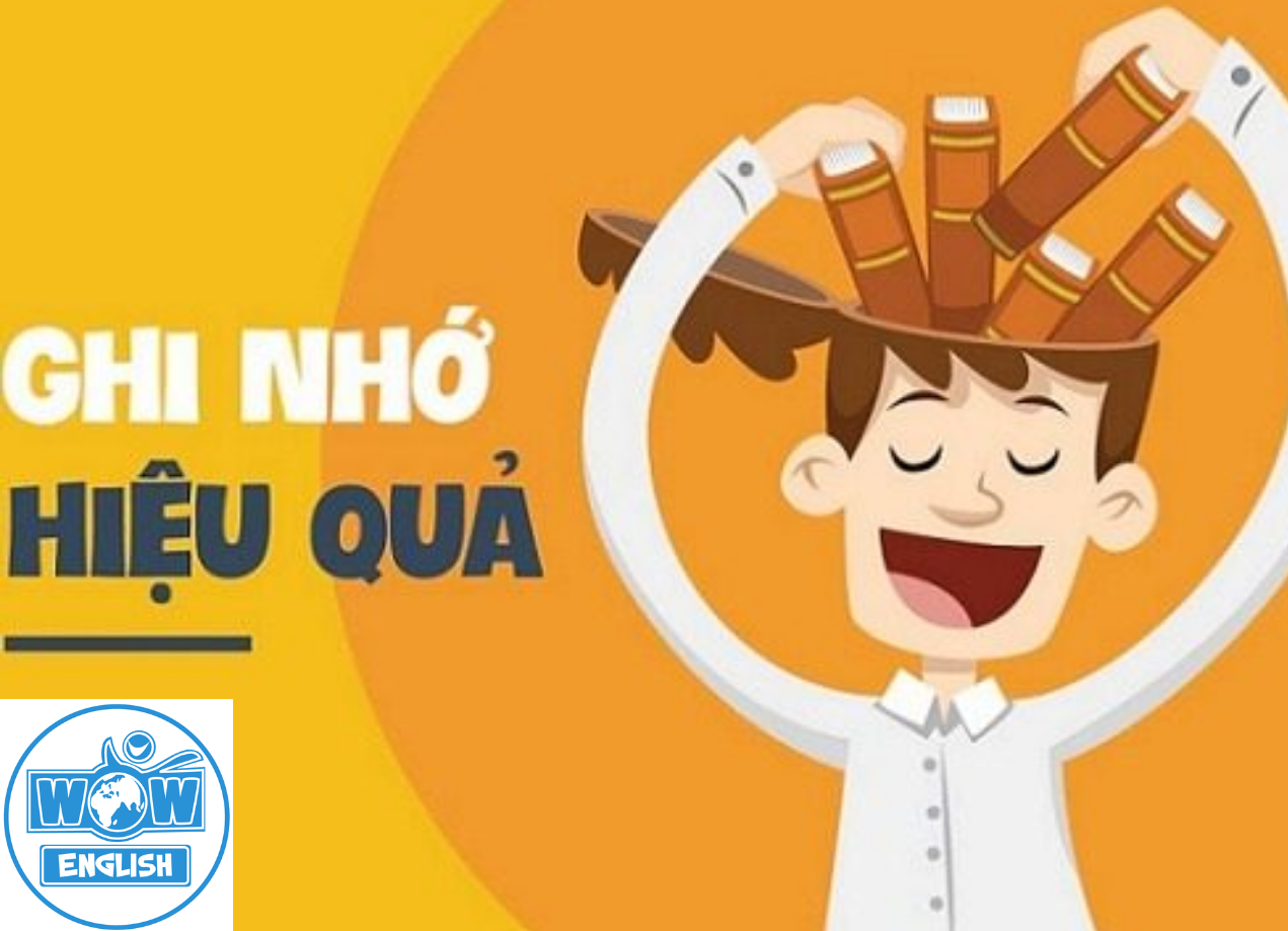 Lộ trình học tiếng Anh hiệu quả