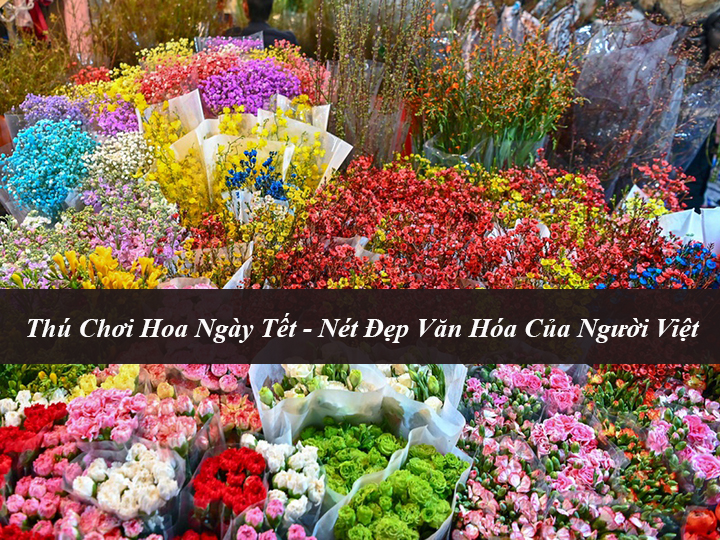 Thú Chơi Hoa Ngày Tết – Nét Đẹp Văn Hóa Của Người Việt