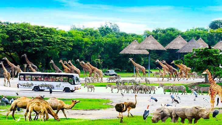 Vườn thù Safari World