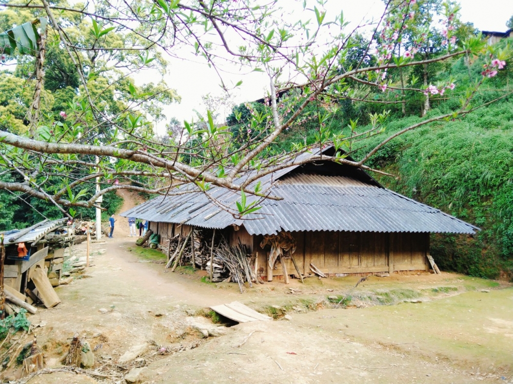 Tết và những hoài niệm