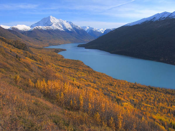 Du lịch Alaska: Chơi gì, tham quan địa điểm nào khi du lịch Alaska? | Du lịch Hoàn Mỹ