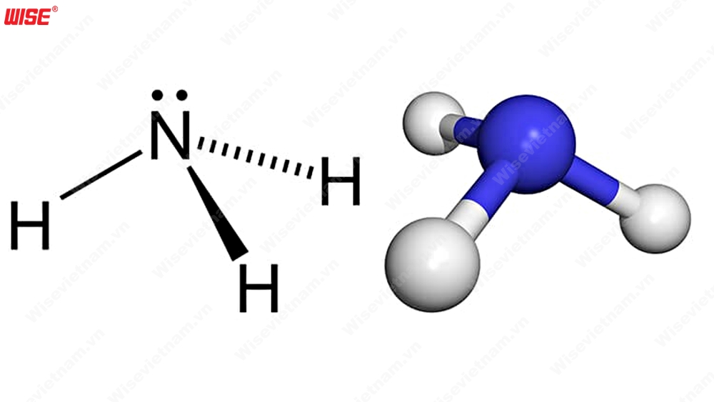 cấu tạo phân tử amoniac