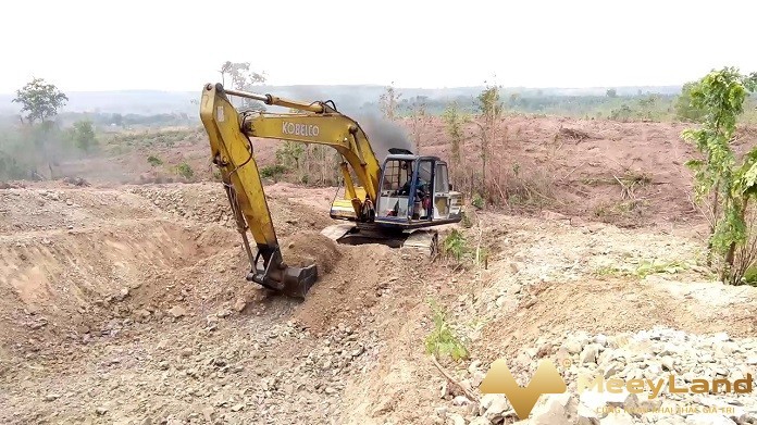 Con người vô tình làm đứt long mạch