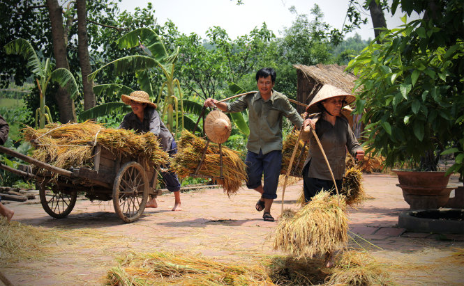 Ảnh làng quê đẹp