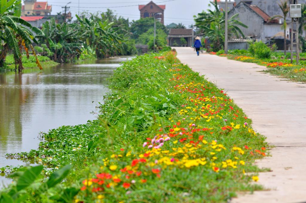 Ảnh làng quê Việt  thanh bình