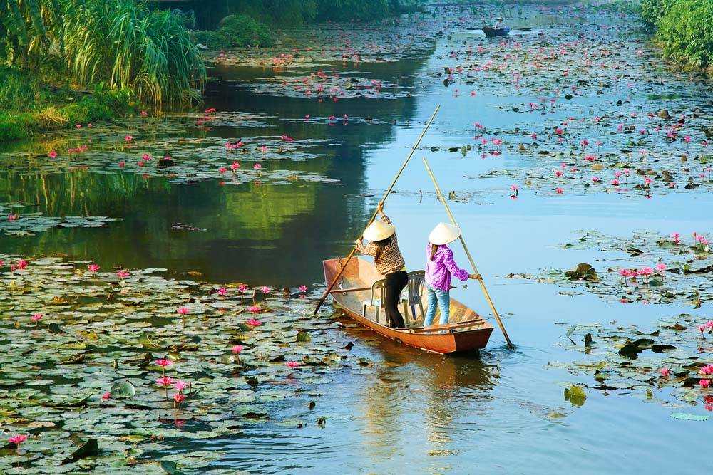 Ảnh thiên nhiên Việt Nam đẹp nhất