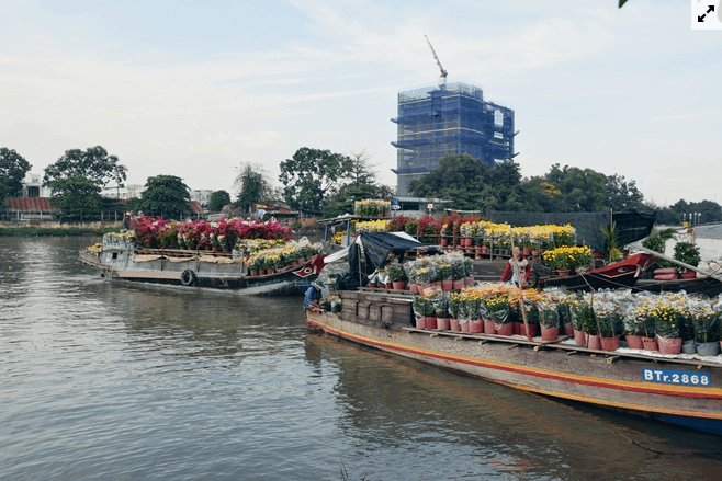 Bến Bình Đông trở nên thú vị với những chiếc thuyền chở đầy cây hoa