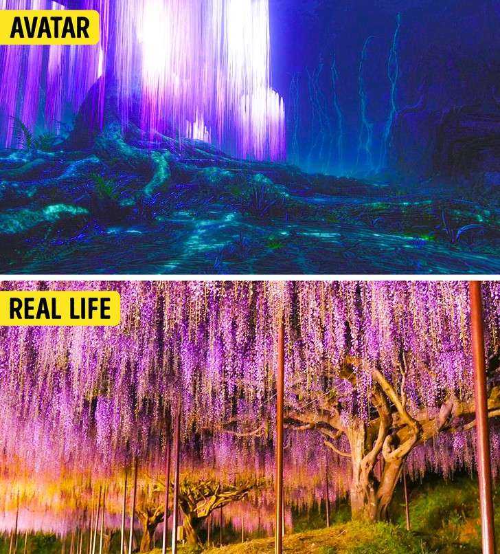 14 cảnh đẹp trong phim hoá ra có ngoài đời thực, riêng Infinity War và Avatar sẽ khiến bạn ngạc nhiên nhất - Ảnh 1.