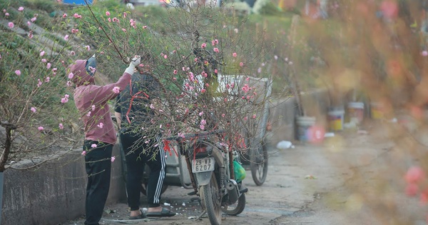 Danh sách 91 điểm chợ hoa xuân của Hà Nội phục vụ Tết Nguyên đán 2023