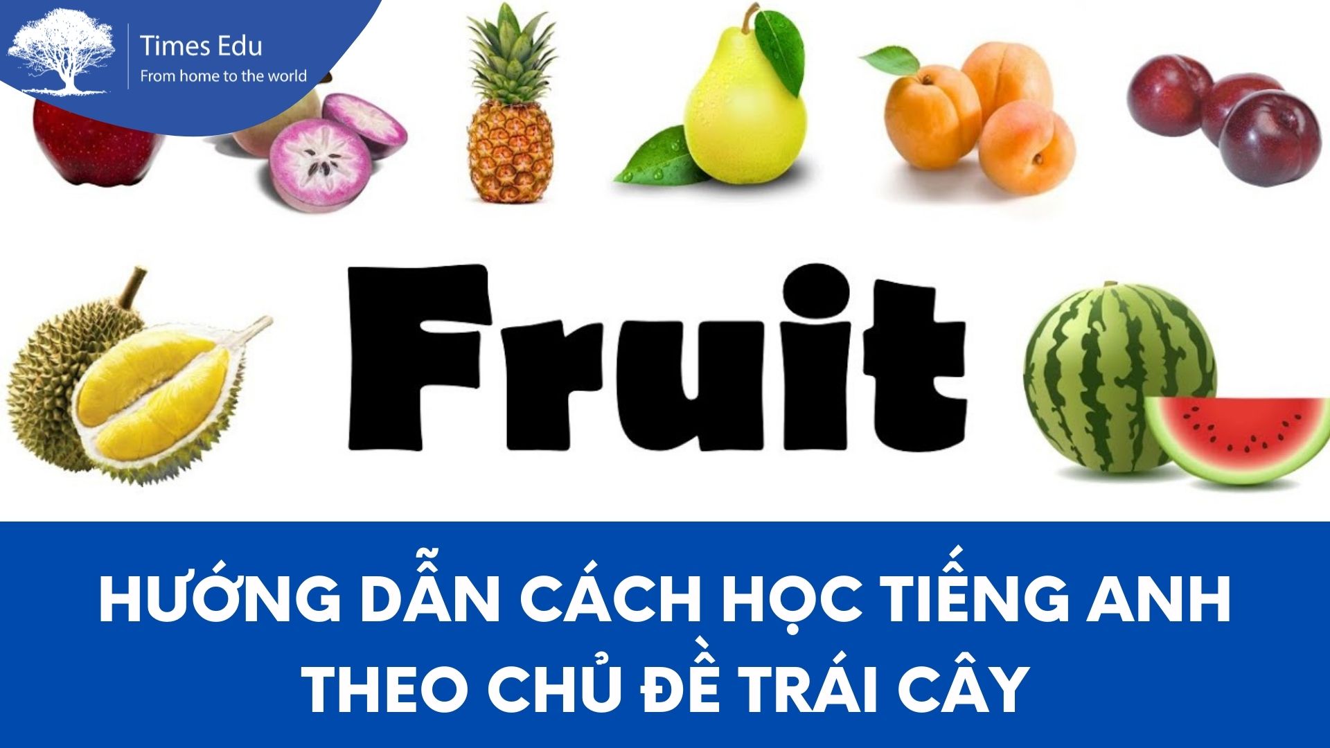 Hướng dẫn cách học tiếng Anh theo chủ đề trái cây 2022