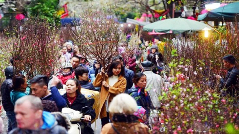Top 10 Bài văn tả cảnh chợ hoa ngày Tết quê em hay nhất - Toplist.vn