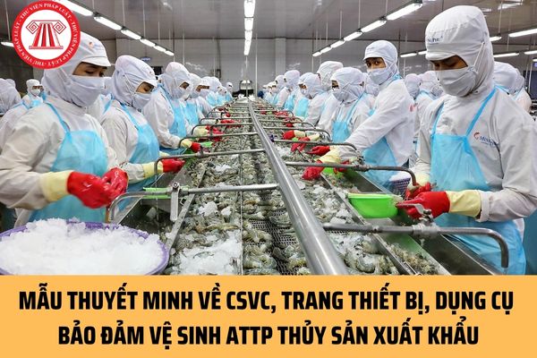 Mẫu Bản thuyết minh về cơ sở vật chất, trang thiết bị, dụng cụ bảo đảm điều kiện vệ sinh an toàn thực phẩm thủy sản xuất khẩu mới nhất?